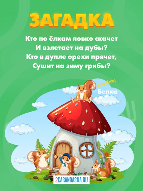 Загадки Белка