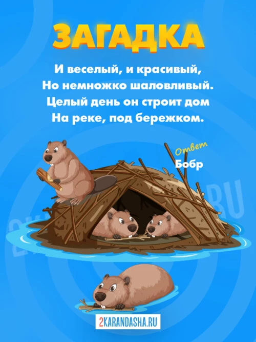 Загадки Бобр