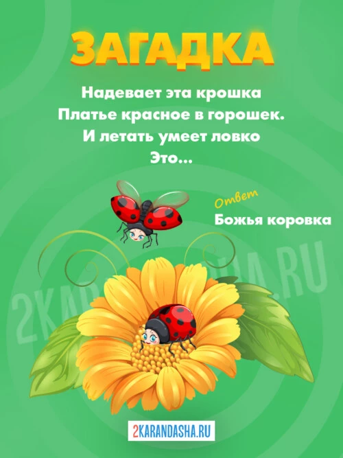 Загадки Божья коровка
