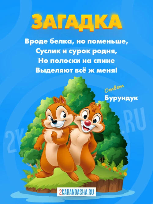 Загадки Бурундук