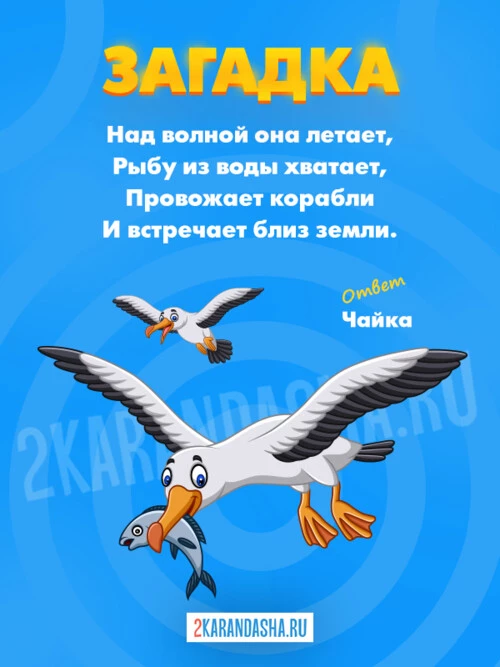 Загадки Чайка