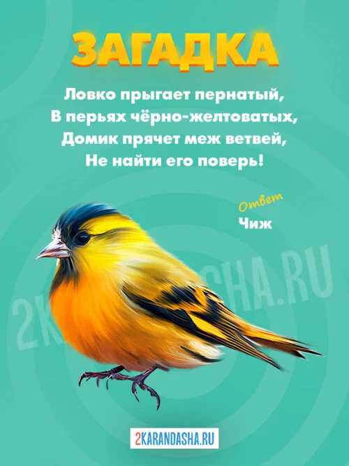 Загадки Чиж
