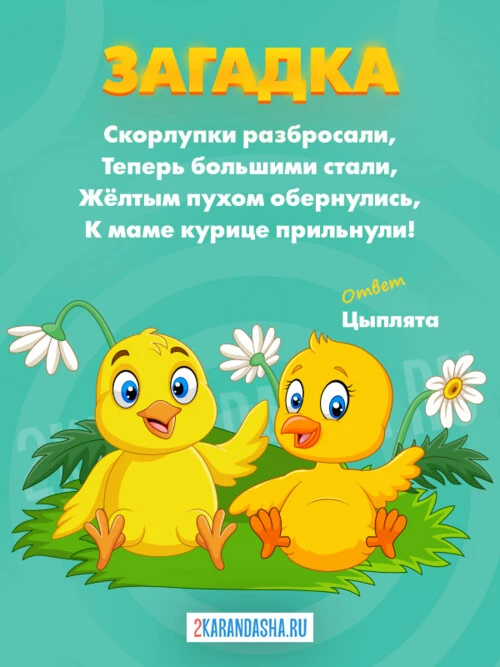 Загадки Цыпленок