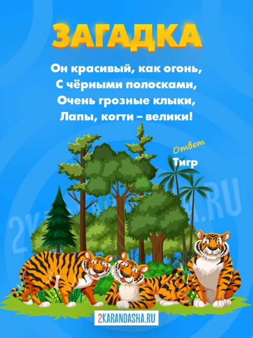 Загадки Дикие животные