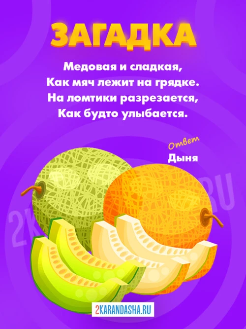 Загадки Дыня