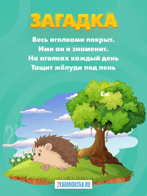 Загадки Ежик