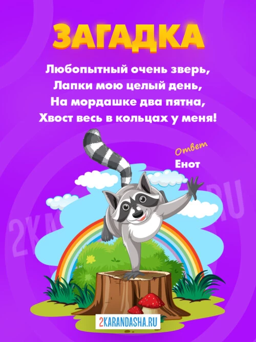 Загадки Енот