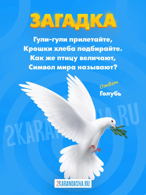 Загадки Голубь
