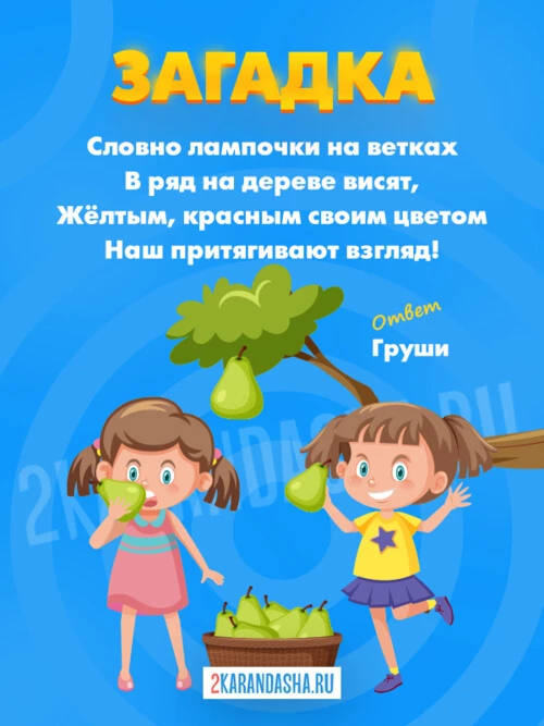 Загадки Груша