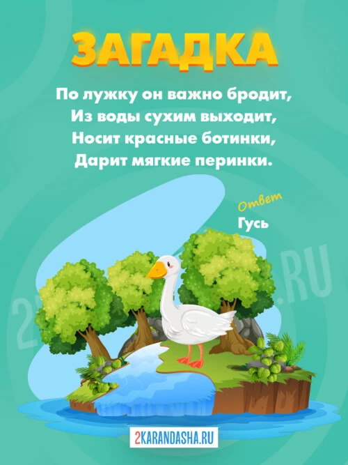 Загадки Гусь