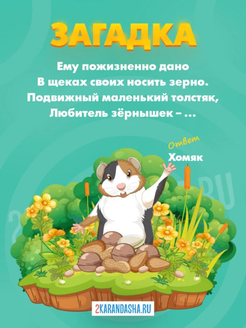 Загадки Хомяк
