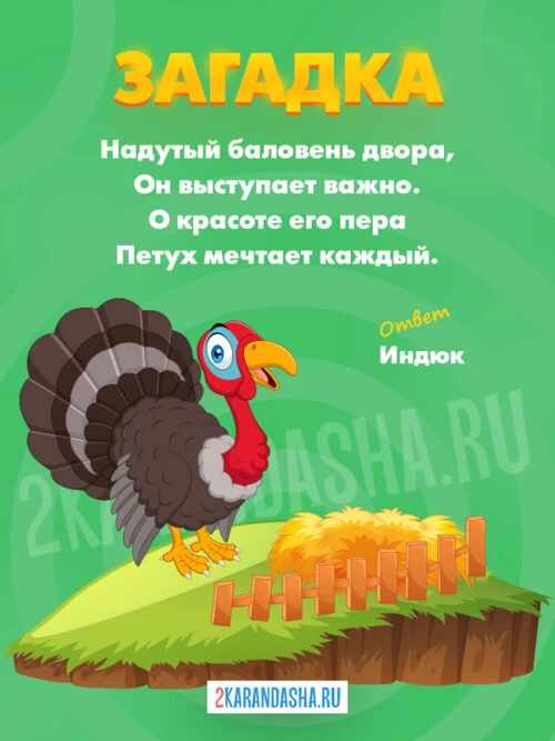 Загадки Индюк