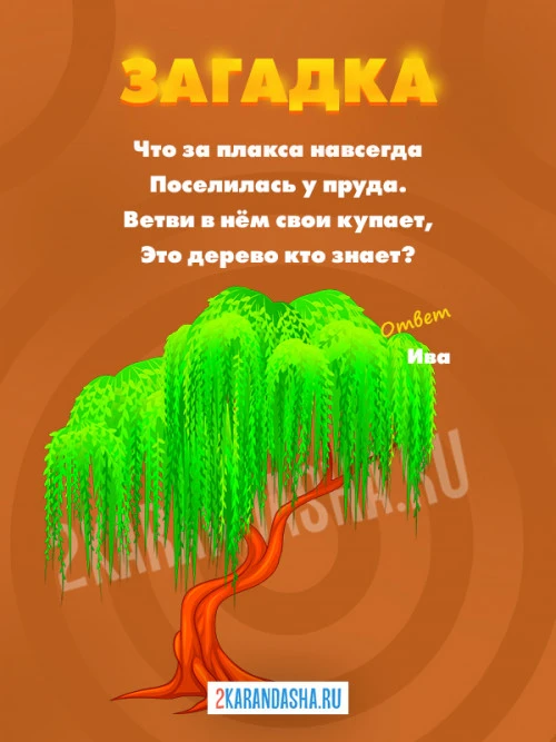 Загадки Ива