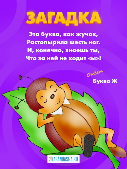 Загадки Буква Ж