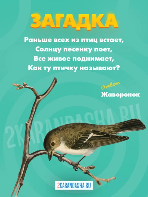 Загадки Жаворонок