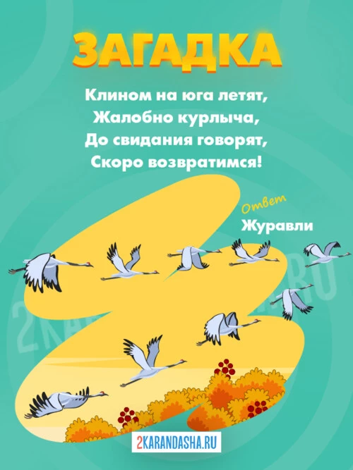 Загадки Журавль