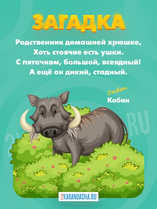 Загадки Кабан