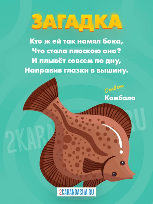 Загадки Камбала