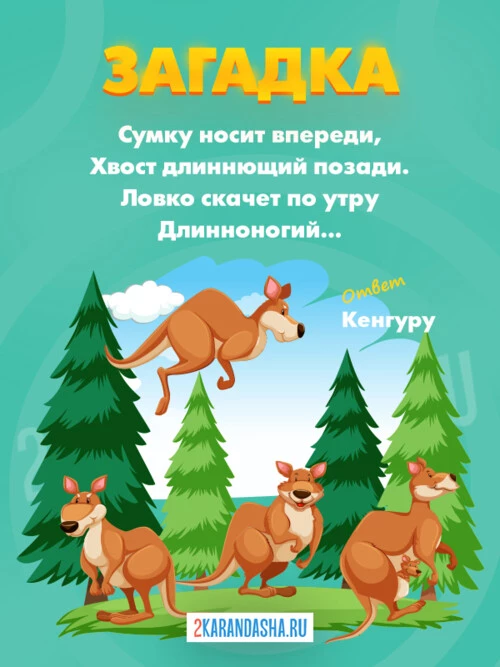 Загадки Кенгуру