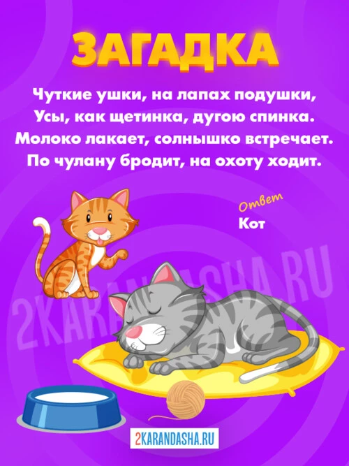 Загадки Кошка