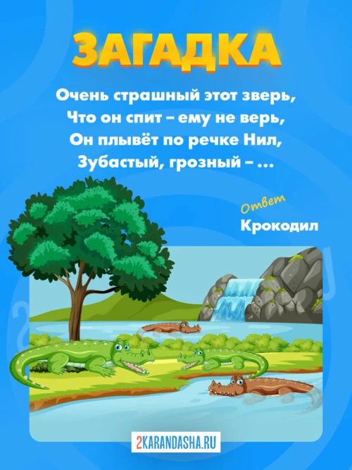 Загадки Крокодил