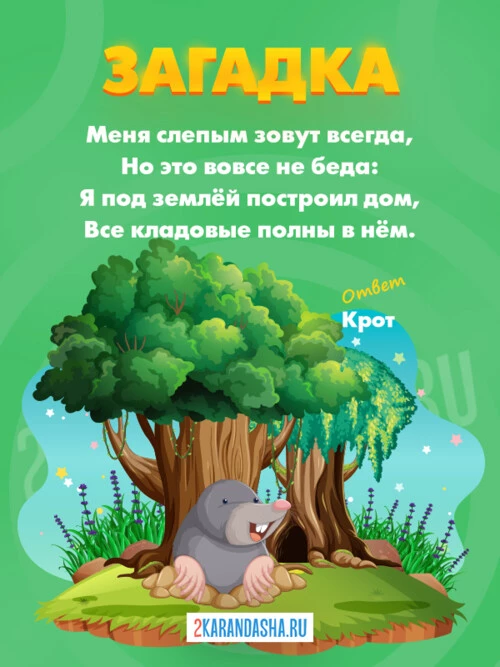 Загадки Крот