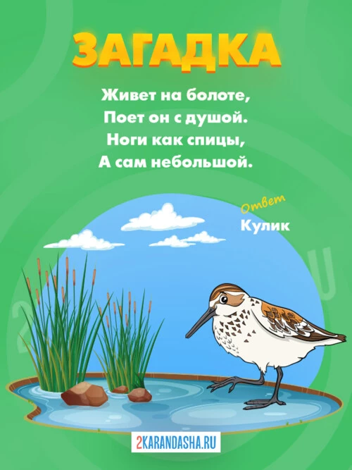 Загадки Кулик