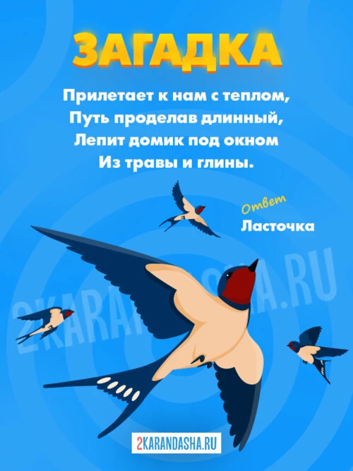 Загадки Ласточка