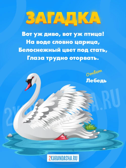 Загадки Лебедь