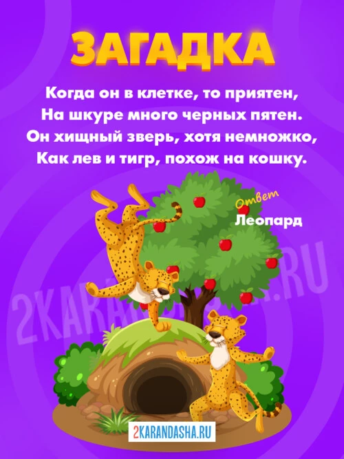 Загадки Леопард