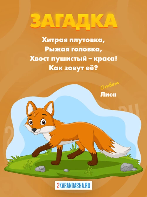 Загадки Лиса