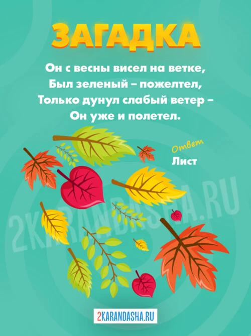 Загадки Листья