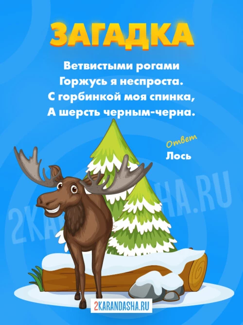 Загадки Лось