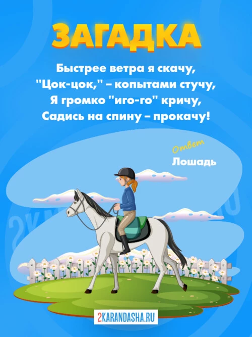 Загадки Лошадь