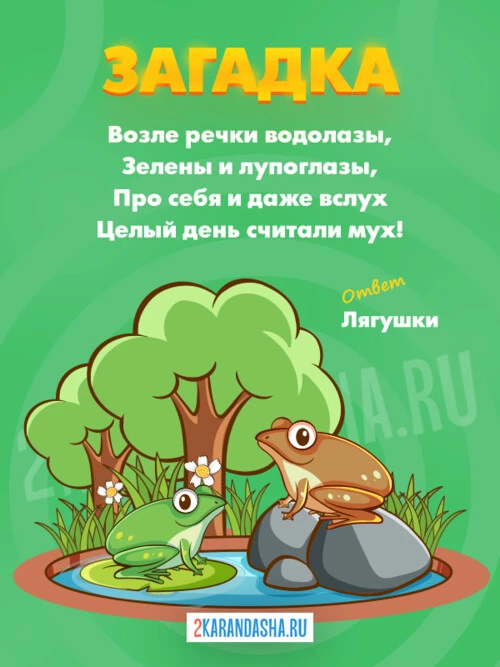 Загадки Лягушка