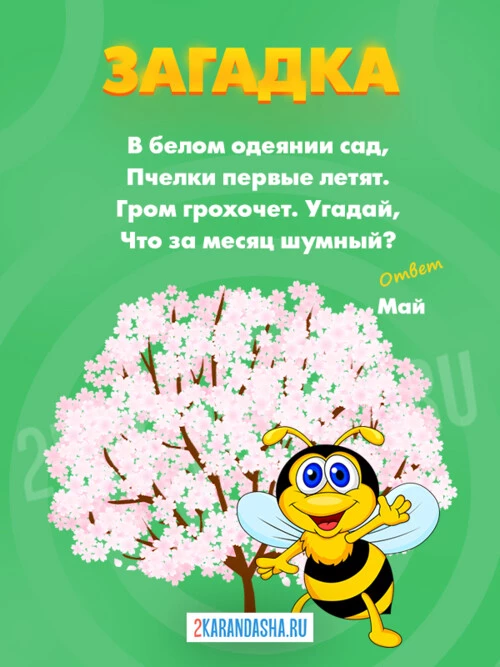 Загадки Май
