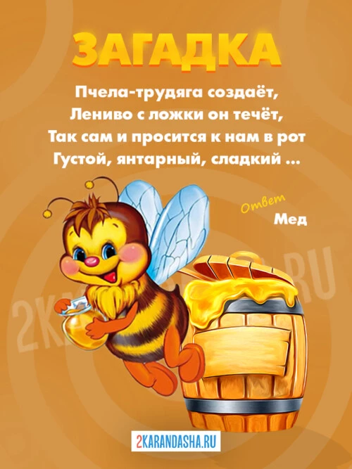 Загадки Мед