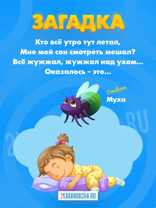 Загадки Муха