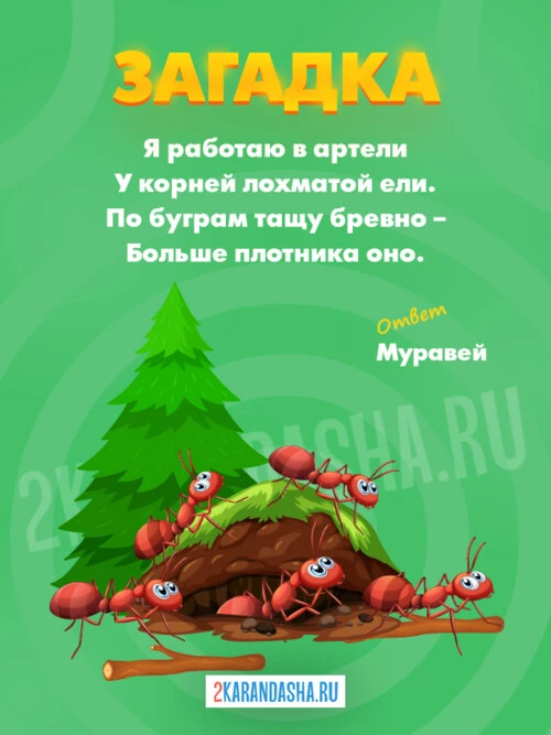 Загадки Муравей