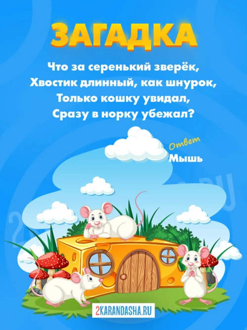 Загадки Мышь