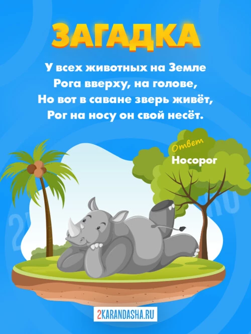 Загадки Носорог
