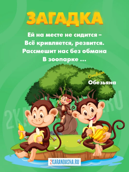 Загадки Обезьяна