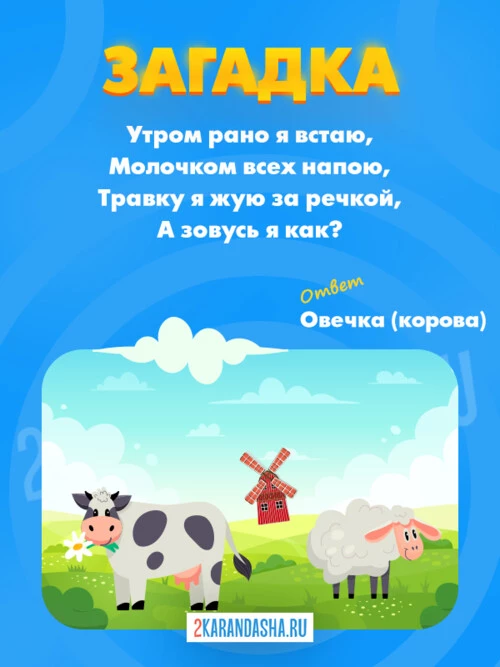 Загадки Обманки