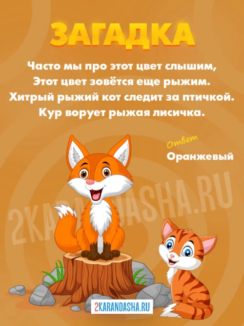 Загадки Оранжевый