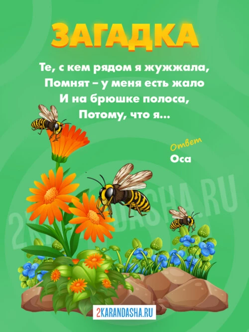 Загадки Оса