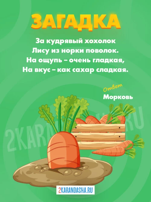 Загадки Овощи