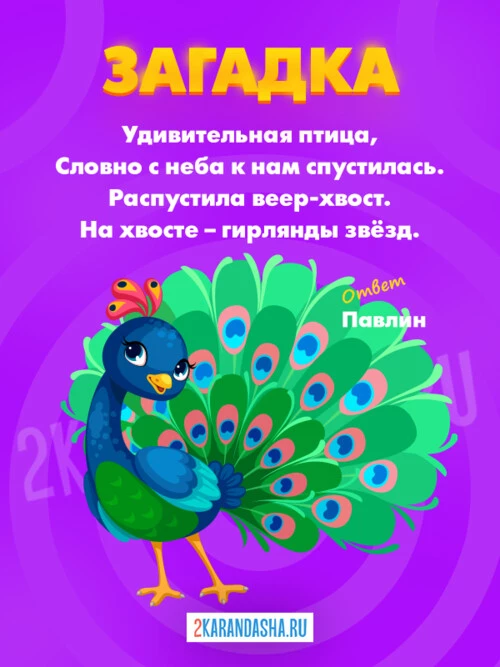 Загадки Павлин
