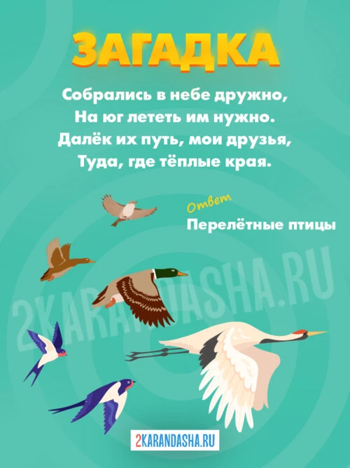 Загадки Перелётные птицы