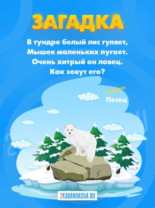 Загадки Песец