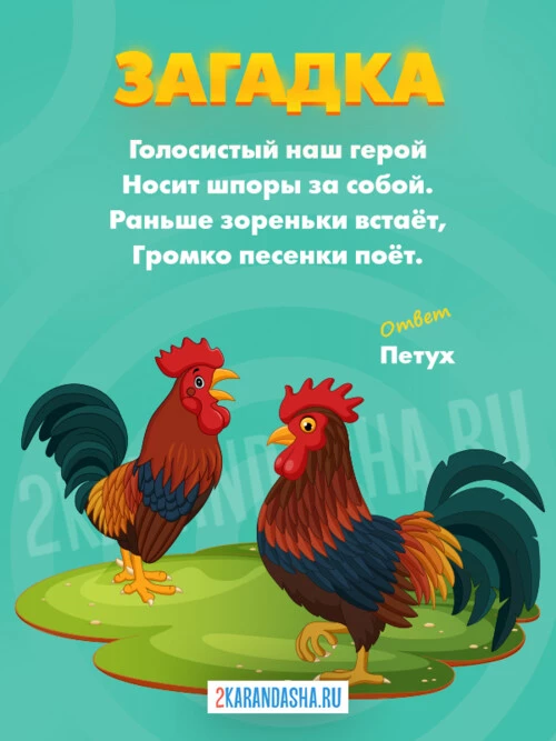 Загадки Петух